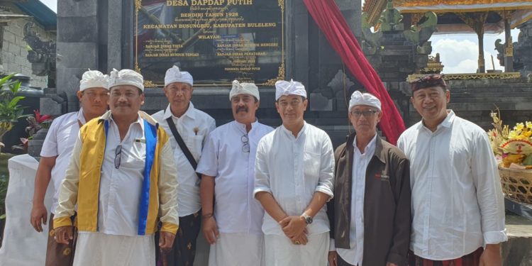 Nama Desa Dapdap Putih Diresmikan — Ini  Tentang Pohon Dapdap Berbunga Putih