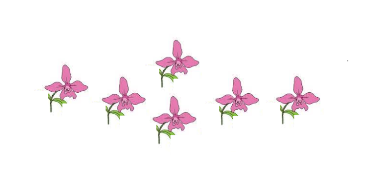 Kanker Serviks, Mimpi Buruk yang Dapat Dicegah