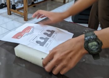 Menjamin Hak Pilih Disabilitas Intelektual pada Pemilu 2024