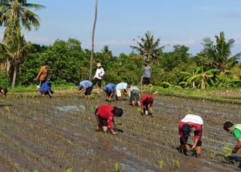Bertambah, Jumlah Subak di Buleleng Sebagai Penerima Hibah BKK Provinsi Bali