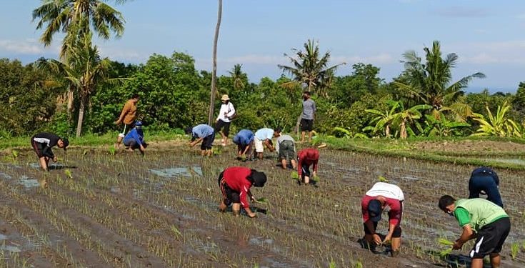 Bertambah, Jumlah Subak di Buleleng Sebagai Penerima Hibah BKK Provinsi Bali