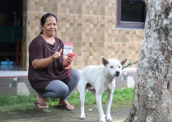 80.000 Anjing di Buleleng Telah Divaksin | Harapannya, Nol Kasus Rabies