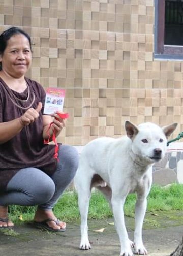 80.000 Anjing di Buleleng Telah Divaksin | Harapannya, Nol Kasus Rabies