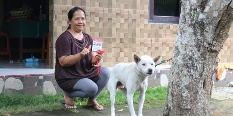 80.000 Anjing di Buleleng Telah Divaksin | Harapannya, Nol Kasus Rabies