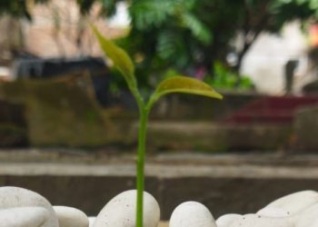 Bagaimana Cara Menjaga Hal Baik yang Sudah Melekat? | Pesan Kepada Ndul…