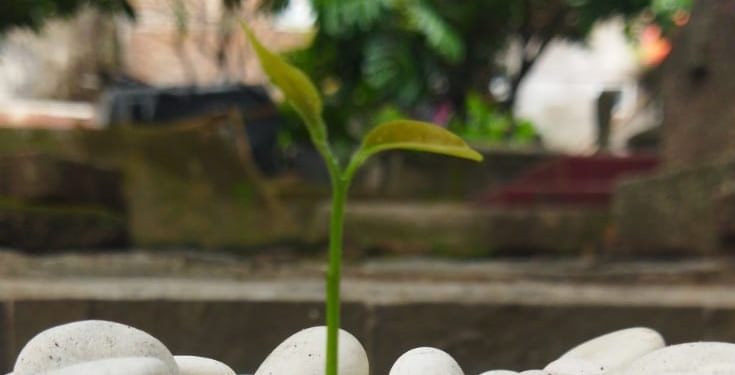 Bagaimana Cara Menjaga Hal Baik yang Sudah Melekat? | Pesan Kepada Ndul…