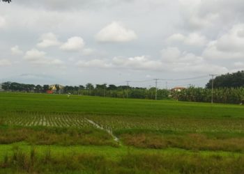 Menjaga Rasa Sesama Manusia