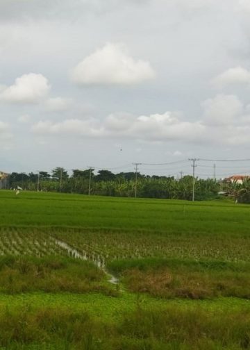 Menjaga Rasa Sesama Manusia