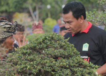 Pj. Bupati Buleleng Lihadnyana: Bonsai Kini Bukan Lagi Sekadar Hobi, Tapi Juga Bisnis  