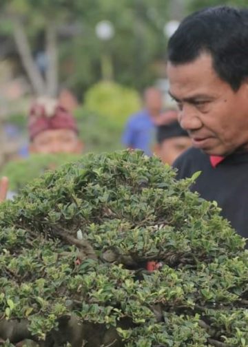 Pj. Bupati Buleleng Lihadnyana: Bonsai Kini Bukan Lagi Sekadar Hobi, Tapi Juga Bisnis