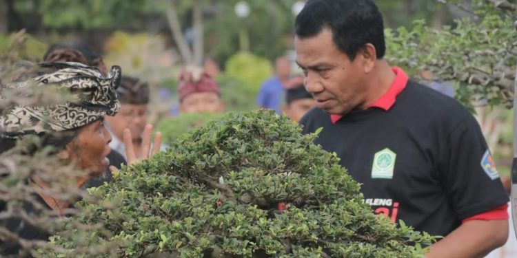 Pj. Bupati Buleleng Lihadnyana: Bonsai Kini Bukan Lagi Sekadar Hobi, Tapi Juga Bisnis  