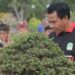 Pj. Bupati Buleleng Lihadnyana: Bonsai Kini Bukan Lagi Sekadar Hobi, Tapi Juga Bisnis  