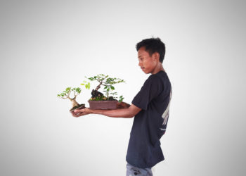 Muslikhin: Bonsai Bukan Hanya Sekadar Hobi, tapi Juga Terapi