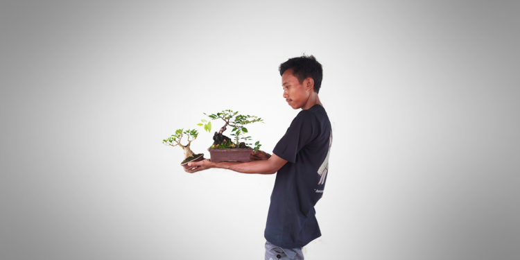 Muslikhin: Bonsai Bukan Hanya Sekadar Hobi, tapi Juga Terapi