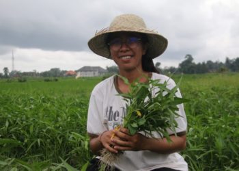 Winda dari Blahkiuh, Usia 22 Tahun, Mantap Bertani, Susun Jadwal Kerja Bak Pegawai Kantor