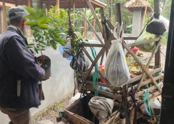 Mbah Klunthung dan Dua Bibit Kelengkeng
