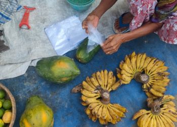 Perempuan Setengah Buta Penjual Pepaya di Pasar Bendo