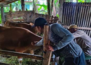 Seandainya Persian Magnetism Menjadi Mata Kuliah di FKH