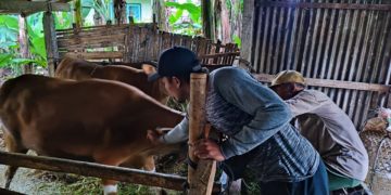 Seandainya Persian Magnetism Menjadi Mata Kuliah di FKH