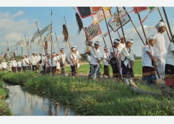 Mesaba di Subak Aya Pemanis, Penebel, Tabanan: Dari Upacara Air ke Kuning Padi