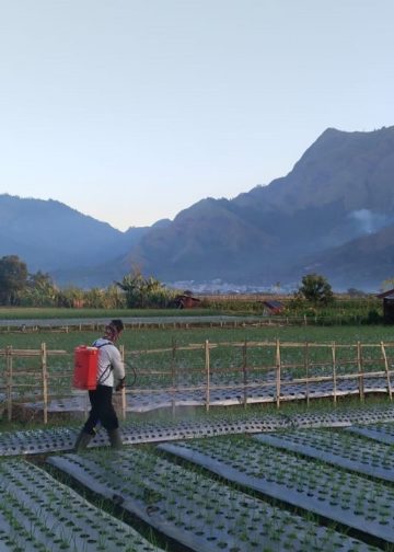 Sembalun Tak Hanya Tentang Gunung, Tetapi Juga Tentang Petani