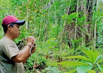 Pemuda-pemuda yang Mengabarkan Cerita Baik dari Pedawa: Menanam Pohon,  Mencintai Tradisi dan Bahasa