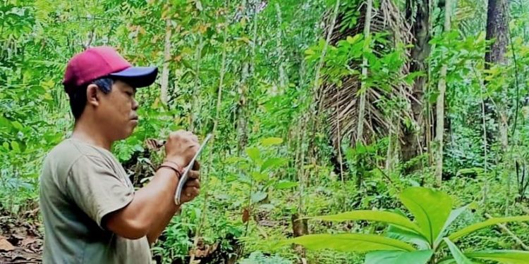 Pemuda-pemuda yang Mengabarkan Cerita Baik dari Pedawa: Menanam Pohon,  Mencintai Tradisi dan Bahasa