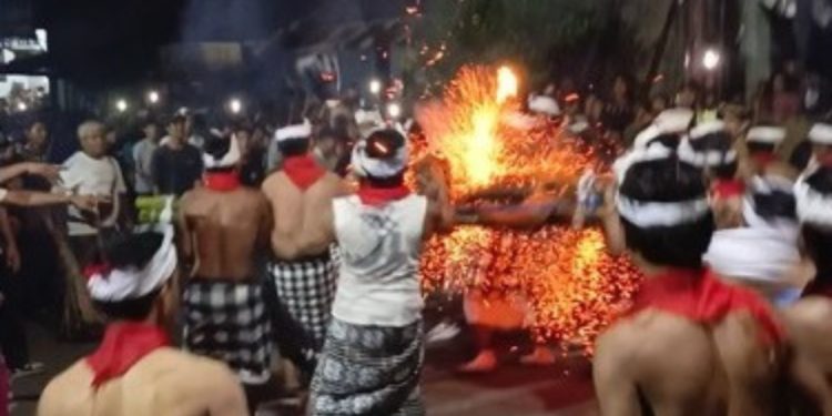 Tradisi Bukakak: Simbol Rasa Syukur Petani Desa Sudaji