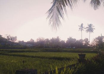 Petani Muda Sebagai Penggerak Gagasan Baru