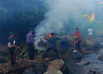 Semangat Baru Desa Dapdap Putih