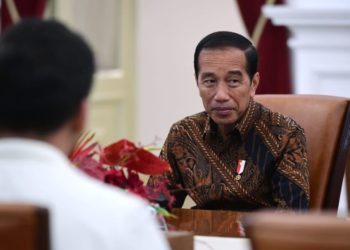 PP KMHDI Bertemu Presiden RI di Istana, Apa Saja yang Dibahas?