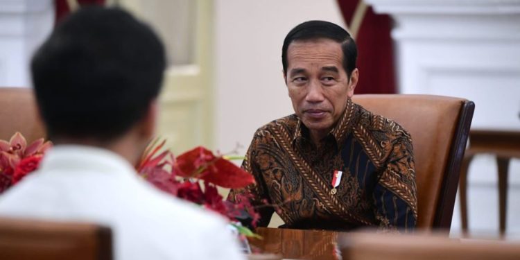 PP KMHDI Bertemu Presiden RI di Istana, Apa Saja yang Dibahas?