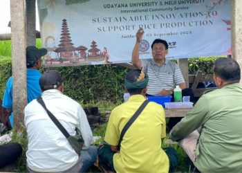 Intelektual Jepang Memperkenalkan Teknologi Ratoon-rice Kepada Petani Padi di Jatiluwih