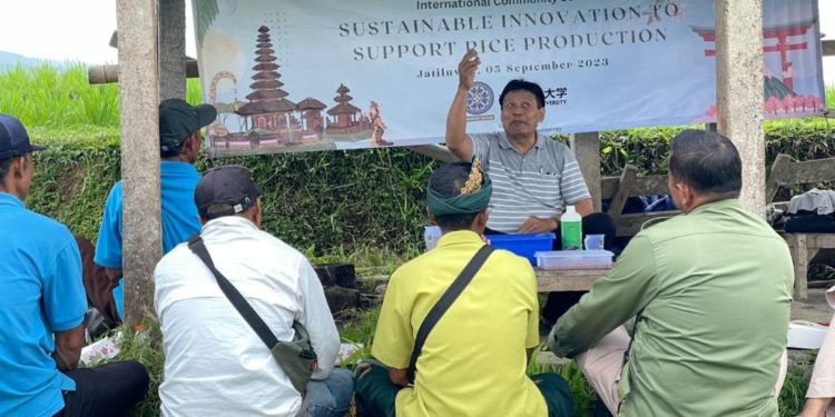 Intelektual Jepang Memperkenalkan Teknologi Ratoon-rice Kepada Petani Padi di Jatiluwih