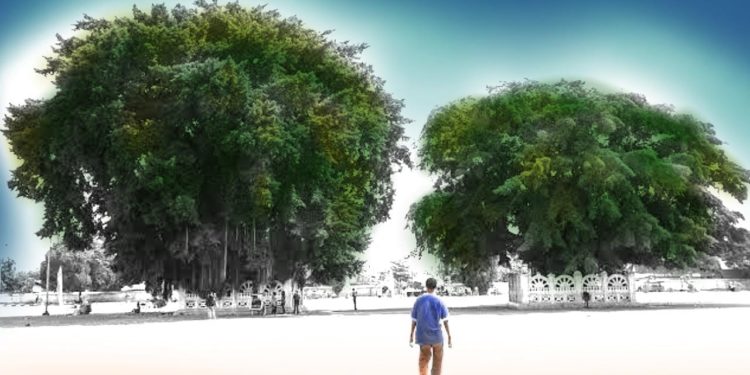 Bertemu ‘Memedi’ di Bulan Juni (1)