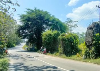 Anak-Anak yang Diasuh Jalanan