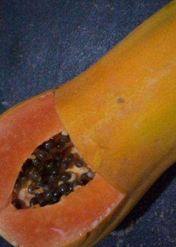 Pepaya Bisa Jadi Bahan Bakar Masa Depan