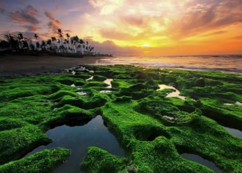  “Low Tide”, Keindahan Pasang-Surut Laut dalam Fotografi