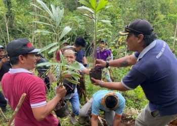Reboisasi Desa Pedawa: Usaha Menguatkan Citra Pedawa Sebagai Penghasil Gula Aren  