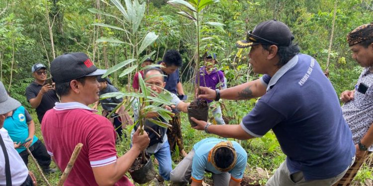 Reboisasi Desa Pedawa: Usaha Menguatkan Citra Pedawa Sebagai Penghasil Gula Aren  