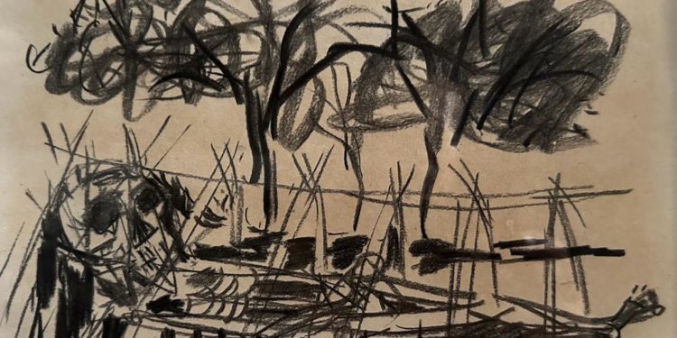 Puisi-puisi GM Sukawidana | Narasi Imajiner Memasuki Ruang Kosong Snerayuza