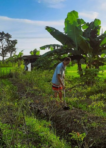 Uma Tattwa: Harmonisasi Manusia dengan Lingkungan Agraris Melalui Yadnya