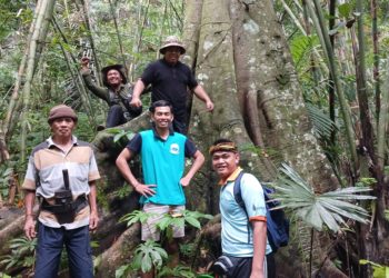 Asuh Kayuan, Usaha Merawat dan Melestarikan Sumber Mata Air di Pedawa
