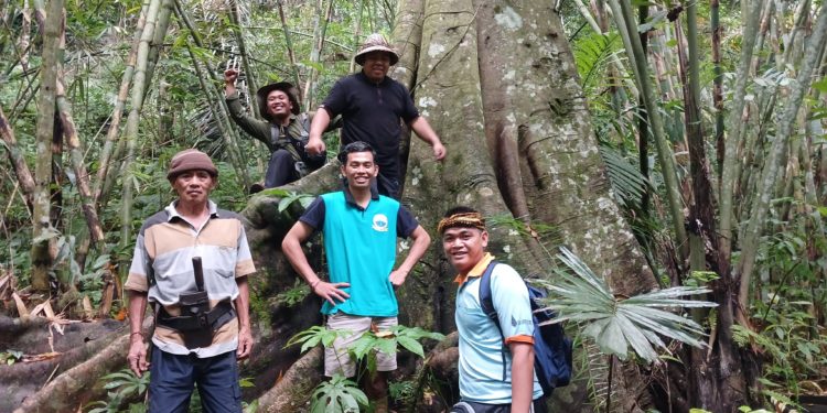 Asuh Kayuan, Usaha Merawat dan Melestarikan Sumber Mata Air di Pedawa