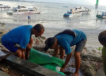 Nasib Kelompok Porter Lepas Asal Nusa Penida di Pelabuhan Sanur