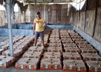 Ari Suandiyasa, Bermula Bankir Kini Peternak Sukses