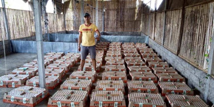 Ari Suandiyasa, Bermula Bankir Kini Peternak Sukses