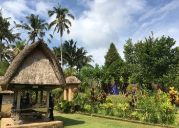 Mengenal Lebih Dekat Desa Adat Pinge, Desa Wisata Berbasis Tri Hita Karana