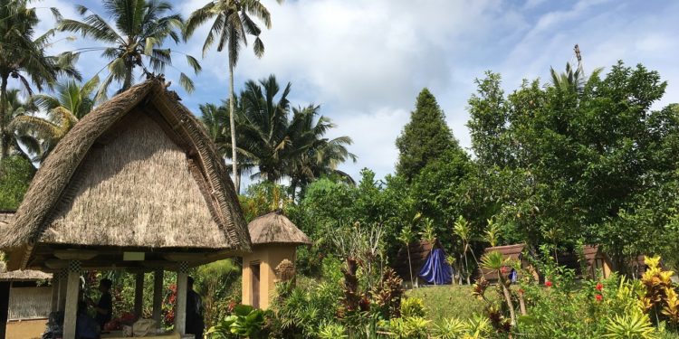 Mengenal Lebih Dekat Desa Adat Pinge, Desa Wisata Berbasis Tri Hita Karana