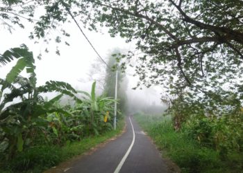 Kecelakaan Mobil Rai Mantra dan Jalur Kenangan Kintamani-Penuktukan Via Siakin
